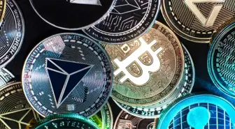 ABD'li vekiller staking için çifte vergiye itiraz etti