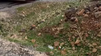 Diyarbakır'da seyir halindeki tır alev aldı