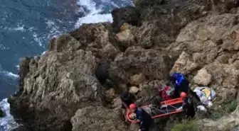 Falezlerde balık keyfi hastanede son buldu