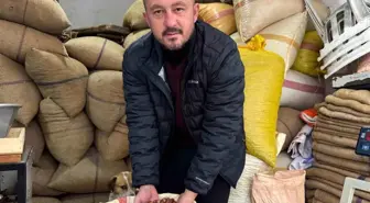 Giresun'da fındık fiyatı yılbaşına günler kala yükselişe geçti