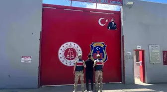 Hatay'da 30 yıl hapis cezası bulunan firari mandalina bahçesinde yakalandı