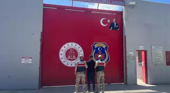 Hatay'da 30 yıl kesinleşmiş hapis cezasıyla aranan hükümlü bahçede yakalandı