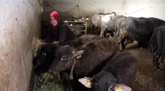Kadın girişimcinin azmi: 11 mandayla başladı, siparişlere yetişemez hale geldi