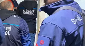 Kırklareli'nde yasal boy sınırı altında balık satışı yapan balıkçılara ceza