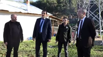 'Kırsalda bereket var' projesiyle üreticiye büyükbaş desteği