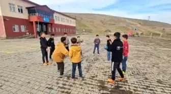 Muş'ta geleneksel oyunlar yaşatılıyor