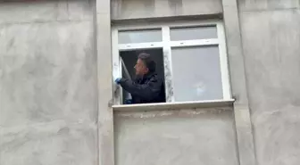 Samsun'da 3'üncü kattan düşen yaşlı adamı incir ağacı kurtardı