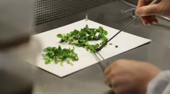 SATSO heyeti doku kültürü laboratuvarlarını basın mensuplarına tanıttı