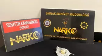 Şırnak'ta narkotik ve kaçakçılık operasyonu: 4 tutuklama
