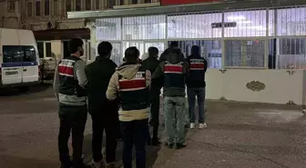 Yatırım danışmanlığı yoluyla dolandırıcılık yapan çeteye operasyon: 10 şahıs tutuklandı