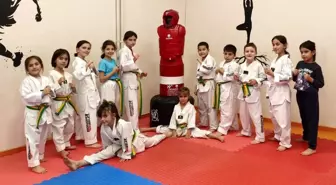Bilecik'te geleceğin sporcuları taekwondo minderinde yetişiyor