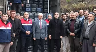 Çorum'da çiftçilere çilek fidesi ile ceviz fidanı dağıtıldı