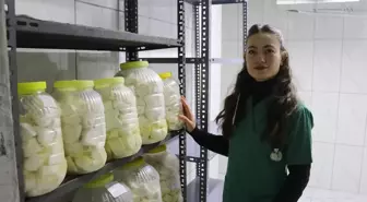 Devlet desteğiyle besiciliğe başlayan veteriner, babasının emanetine de sahip çıkıyor