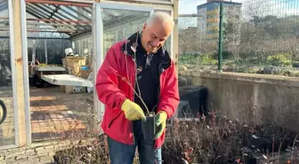 Giresun'dan mavi yemiş atağı