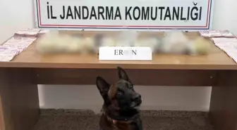 Hakkari'de 5 kilo 815 gram eroin ele geçirildi