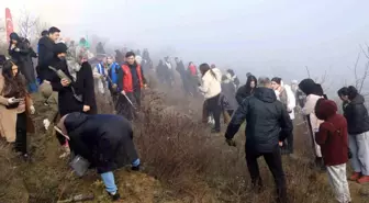 KBÜ'lü öğrenciler 500 çam fıstığı fidanını toprakla buluşturdu