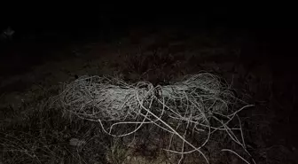 Libya Genelkurmay Başkanı Orgeneral Muhammed Ali Al-Haddad'ı taşıyan uçağın enkazına ulaşıldı