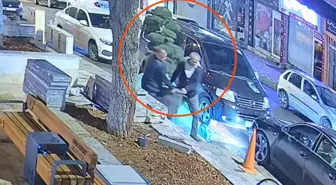 Parktaki ağacı otomobile yükleyip götürdüler