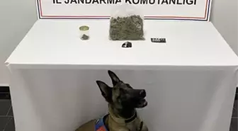 Şanlıurfa'da uyuşturucu operasyonu: 1 gözaltı