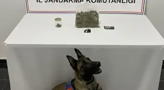 Şanlıurfa'da uyuşturucu operasyonunda 1 şüpheli yakalandı