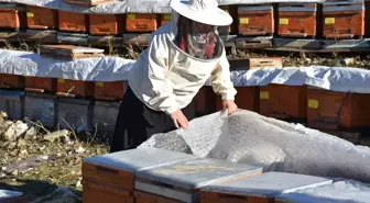 Şırnaklı kadın arıcılık sayesinde 5 çocuğunu üniversitede okuttu