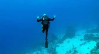Su altı görüntü yönetmeni Tahsin Ceylan bedensel engelli Özgür Akçı'yla Kızıldeniz'e daldı