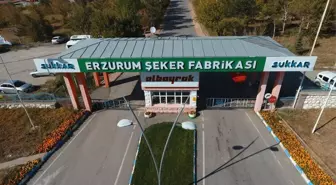 Sukkar Şeker 2025'te 515 bin ton net pancar işlediğini duyurdu