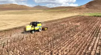 Tarımsal girdi fiyatları yıllık yüzde 33,66 arttı