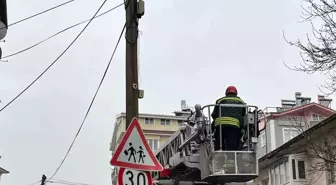 Beyşehir'de itfaiye merdiveni bu kez direğin tepesindeki kedi için uzatıldı