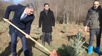 Bolu'daki yangın faciasında ölen 78 kişi için hatıra ormanı