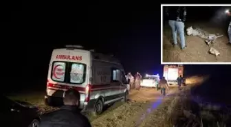 Esenboğa'dan kalkan özel jet düştü! Uçaktakiler hayatını kaybetti