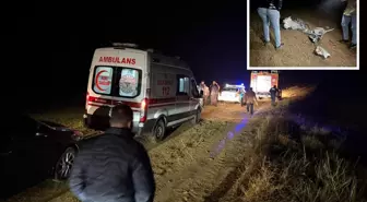 Esenboğa'dan kalkan özel jet düştü! Uçaktakiler hayatını kaybetti