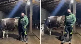 Hayvanıyla video çekip asgari ücretle ilgili yaptığı kıyasa tepki var