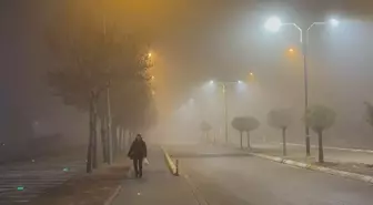 Isparta'da sis etkili oldu