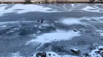 Kars ve Ardahan'da soğuk hava etkili oluyor