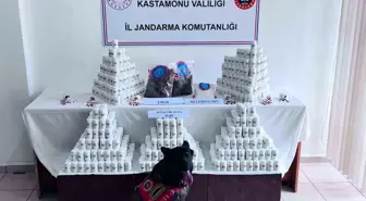 Kastamonu'da binlerce hap ve uyuşturucuyla yakalanan şahsın yargılanmasına başlandı