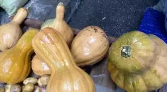 Kendisi ayrı, çekirdeği ayrı şifa kaynağı