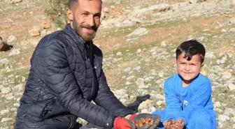 Küresel ısınmaya karşı 2 yılda 20 binden fazla tohum ekip, fidan dikti