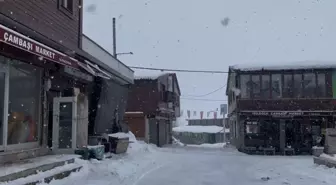 Ordu'nun yüksek kesimlerinde kar yağışı