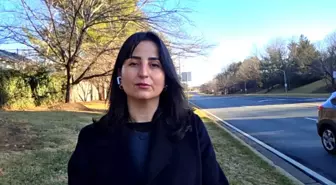 Rona Doğan Sural: 1 milyon sayfayı aşacak Epstein belgeleri yayınlanacak