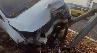 Şerit değiştiren araca çarpmamak için manevra yaptı, ağaca çarptı