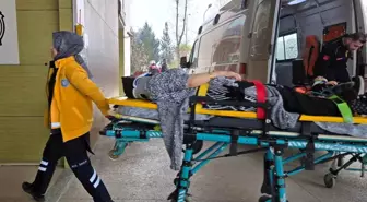 Ticari araç ağaca çarptı: 1'i çocuk 2 yaralı