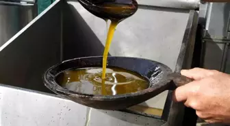 Zeytinyağında dededen kalma 'taş baskı' yöntemini yaşatıyor