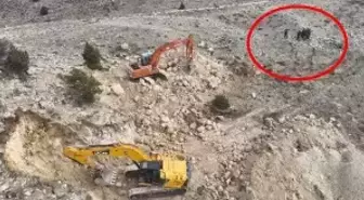 2 iş makinesiyle define arayanlara operasyon: 14 gözaltı