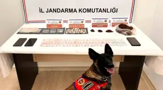 Anne ve oğluna uyuşturucudan 18'er yıl hapis cezası