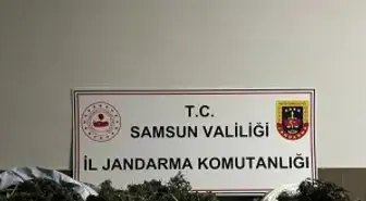 Çarşamba'da 3 kilo 515 gram uyuşturucu ele geçirildi