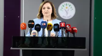 DEM Parti'li Doğan: Silah bırakan herkes düzenleme kapsamına girmeli