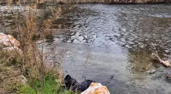 Ege Ekspresi'nin çarptığı yaya hayatını kaybetti