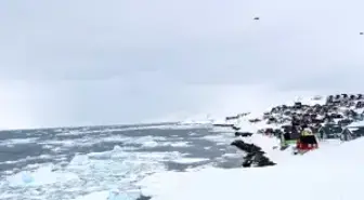 Grönland kime ait, Trump neden adaya ilgi gösteriyor ?