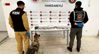 Gümrüklerde rekor; 33 ton 198 kilo uyuşturucu ele geçirildi